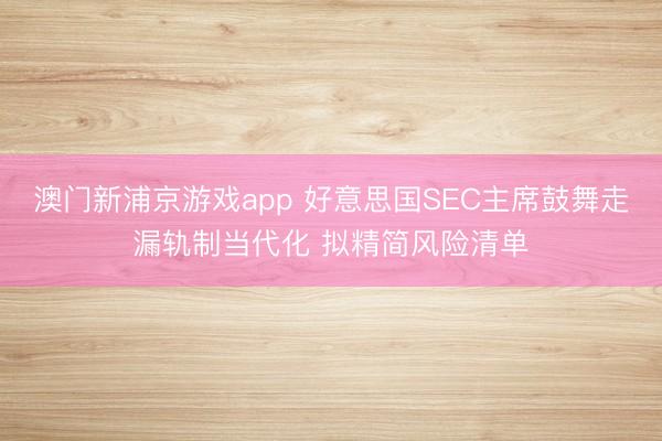 澳门新浦京游戏app 好意思国SEC主席鼓舞走漏轨制当代化 拟精简风险清单